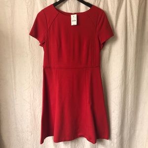 Beautiful J. Crew Dress